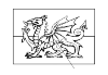 Flag of Wales / Wallonia